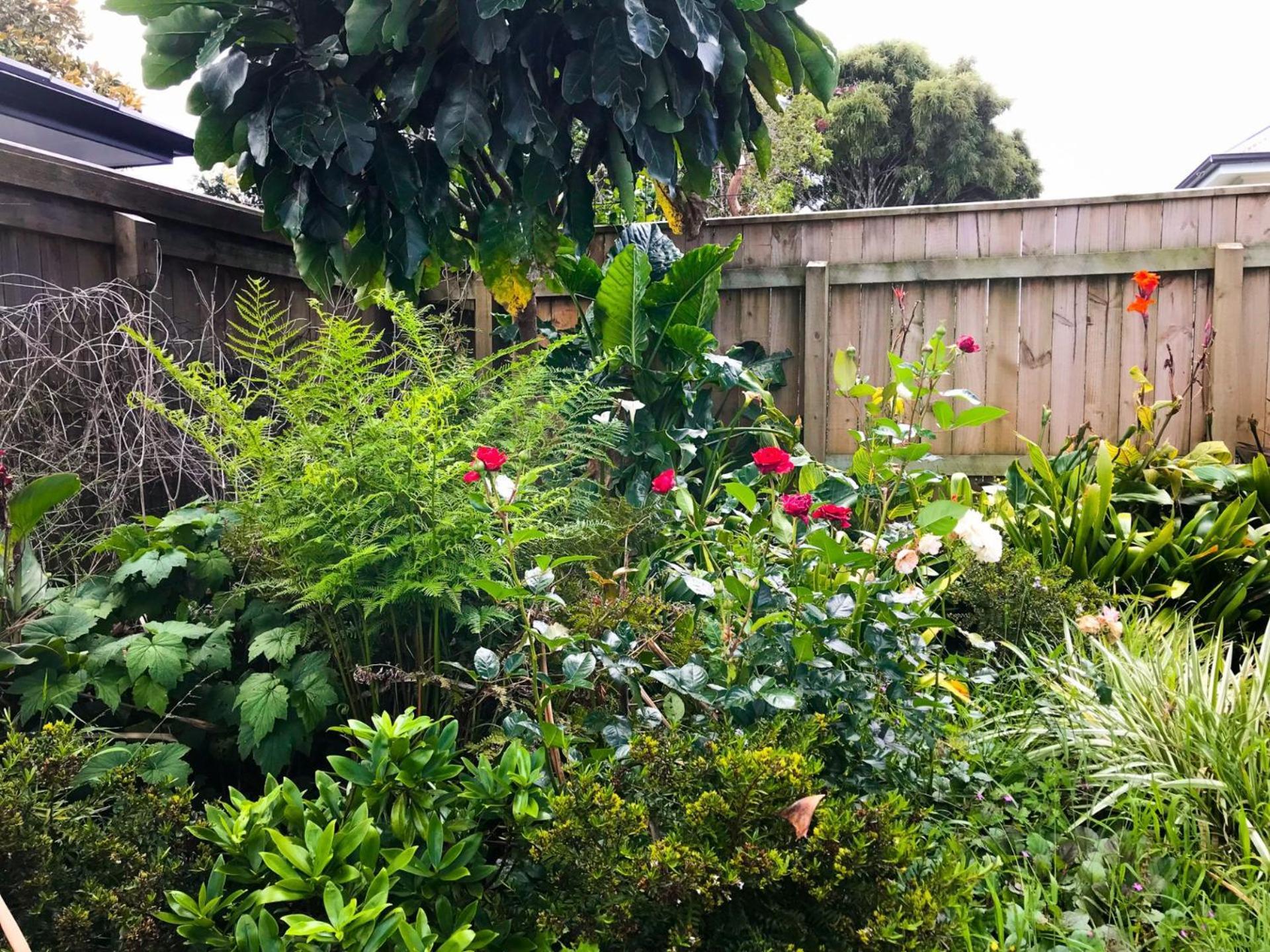 The Brooklands Bungalow New Plymouth Exterior photo